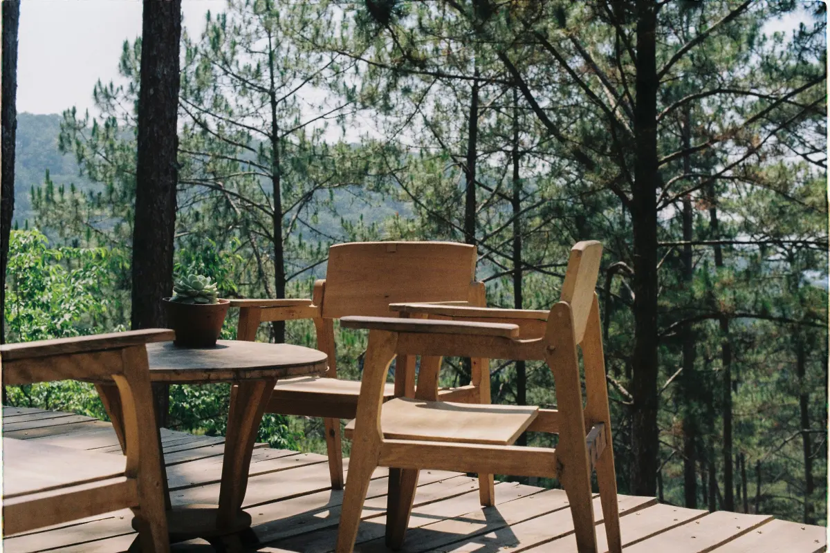 terrasse bois les cabrieres Terrasse en bois aux Cabrières à Mougins : terrasse en bois au milieu des pins
