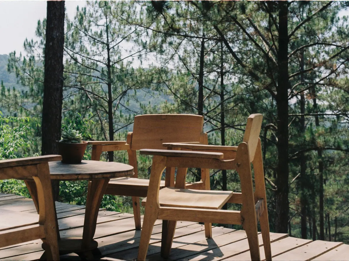 terrasse bois renovee mougins Terrasse en bois avec table et chaises au milieu des pins à Mougins